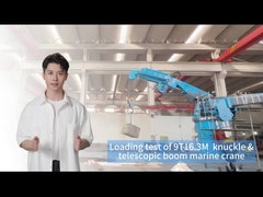 9T16.3M Schiffskran für eine effiziente Ladungsbearbeitung